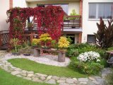 Podzimn barvy - pergola