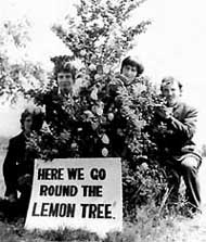 Lemon fresh
