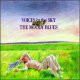 Voices In The Sky