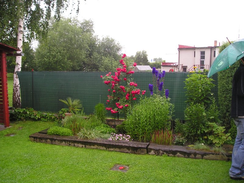 Kv�tinov� z�hon
